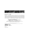 Rapture Film DVD